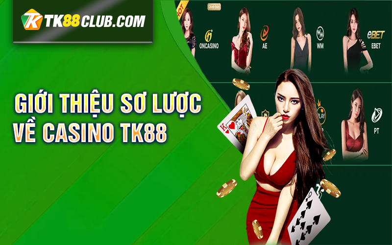 Giới thiệu sơ lược về Casino TK88 