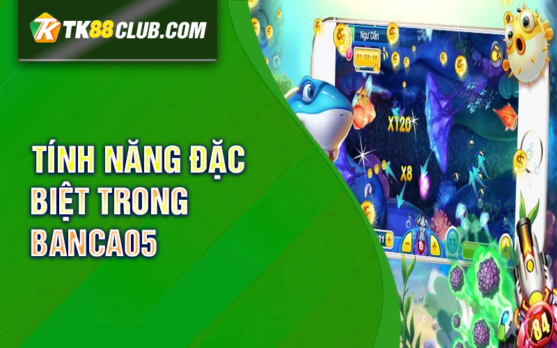 Tính năng đặc biệt trong Banca05 